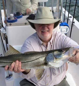 Snook from Florida