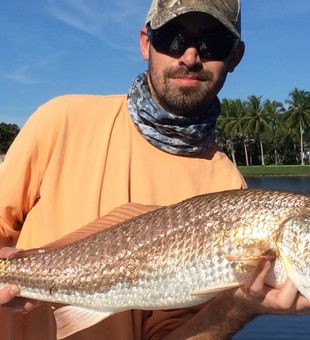 Redfish from Florida
