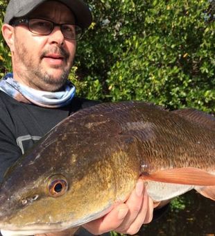 Redfish from Florida