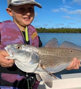 Redfish from Florida
