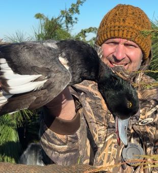 Sunrise over the marshes of the Outer Banks near Wanchese as ducks begin working the decoys—classic North Carolina waterfowl hunting.