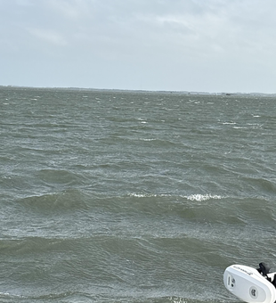 Storms brewing? Perfect time for some epic deep sea action!