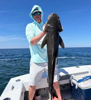 This is what we fish for in NC!