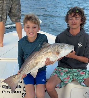 Big redfish victory!