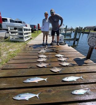 Spanish mackerel and grey triggerfish from Wanchese waters!