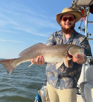 Beautiful Wanchese NC redfish makes for perfect day!