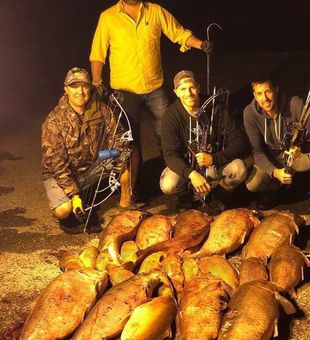 Massive buffalo haul!