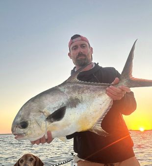 Tampa Bay fishing charters – Permit catch at sunset