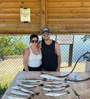 Tampa Bay fishing charters – Spotted Seatrout catch