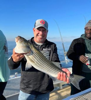 Chesapeake Bay Rockfish!