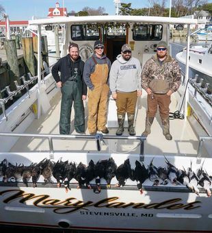 Waterfowl Hunting on the Chesapeake Bay 