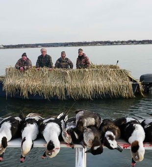 Chesapeake Bay Waterfowl Hunting