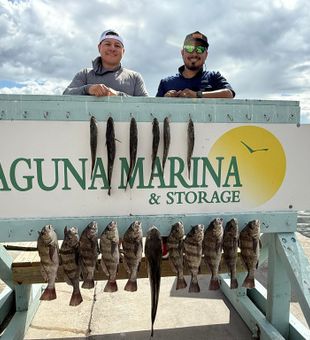 Solid black drum action in Corpus Christi!
