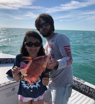 Hogfish thrills await on St. Petersburg!