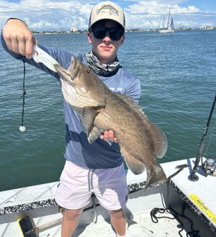 Coastal adventures in St. Petersburg.