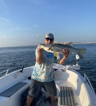 Snook Time! - Port Orange, FL.