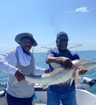 Shark Time! - Port Orange, FL.