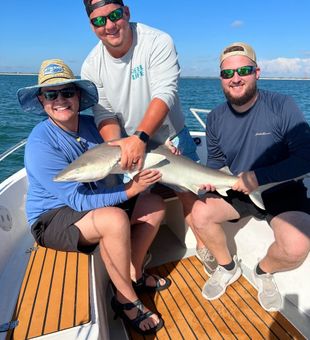 Baited, hooked, and landed