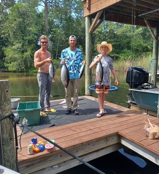 Blackfin tuna success in Fort Walton Beach!
