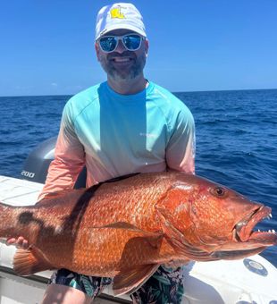 Snapper bites all day long