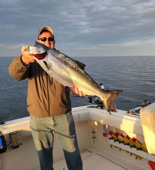 Golden Lake Michigan Chinook salmon fishing charter catch.
