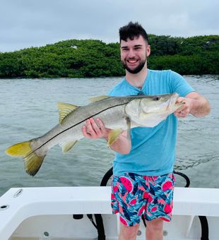snook fishing in the afternoon!
