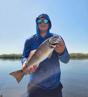 Weeki Wachee redfish catch shallow flats