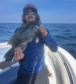 Outstanding black sea bass from Midway GA waters!