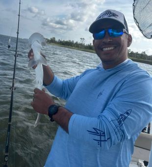 Still water, strong fish, pure Georgia