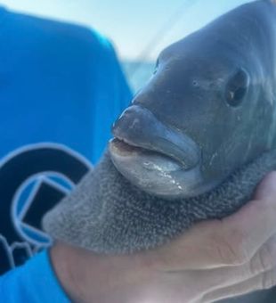 Midway, GA fishing adventures start here—calm tides, scenic marshes, and nonstop action.