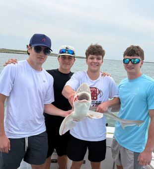 Dusky smooth-hounds caught in Mastic Beach waters!