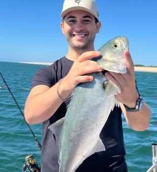 Nice catch from Mastic Beach NY waters!