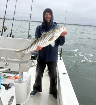 Quality Striped Bass Catch