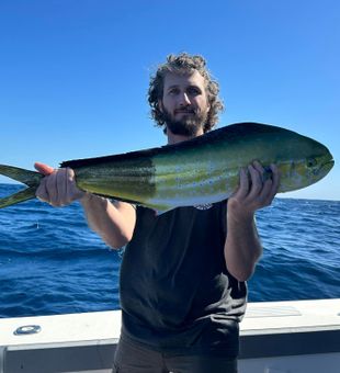 Mahi Mahi fishing in San Diego