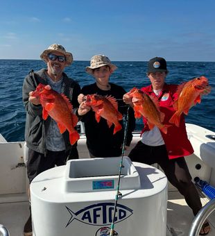 Vermillion Rockfish fishing San Diego evening