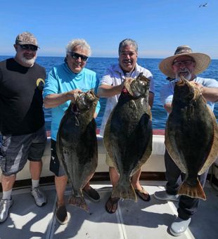 San Diego Flounder charter fishing