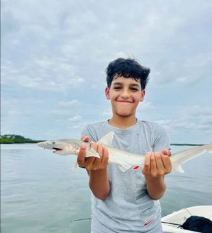 Exciting shark catch!