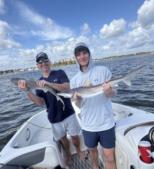 Experience the excitement of a guided fishing trip in Daytona Beach where every cast brings you closer to the catch of the day.