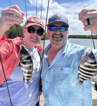 Double sheepshead success in Daytona Beach waters!