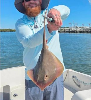 Vivid Stingray Catch