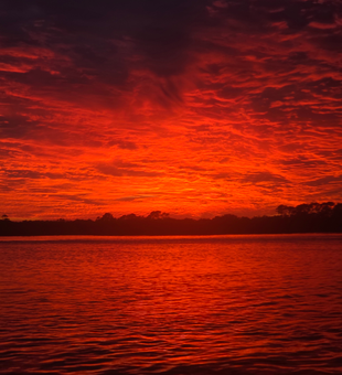 Amazing waterfall discovery while fishing near Daytona Beach!