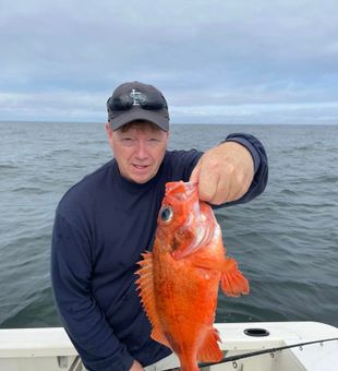 Explore Charter Fishing Maine