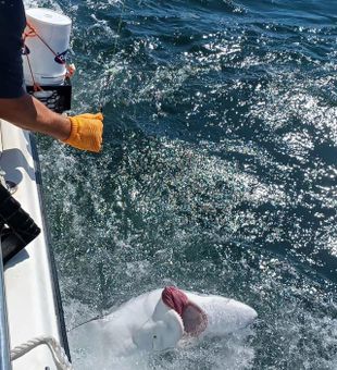 Book Your Guided Fishing Maine