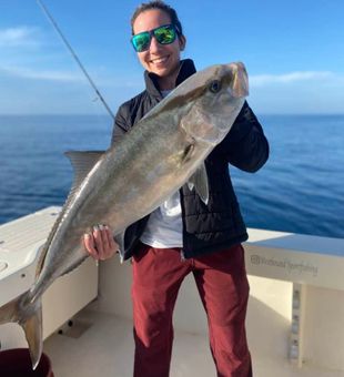 Offshore trolling and bottom fishing in St. Petersburg, FL.