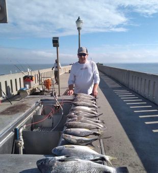 Pier-Mixed Catch at Wrightsville Beach