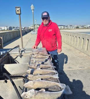 Pier-Caught Sea Mullet at Wrightsville Beach