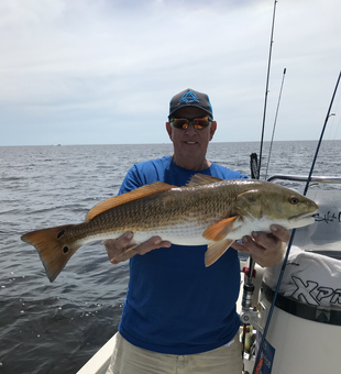 Big Steinhatchee redfish catch