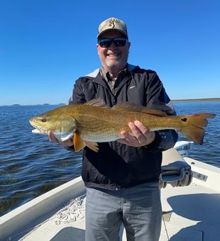 Golden redfish catch