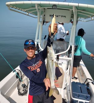 Snook, Adventure with Crystal River charters