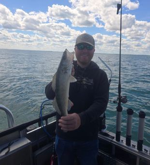 Catching walleye on Lake Erie waters